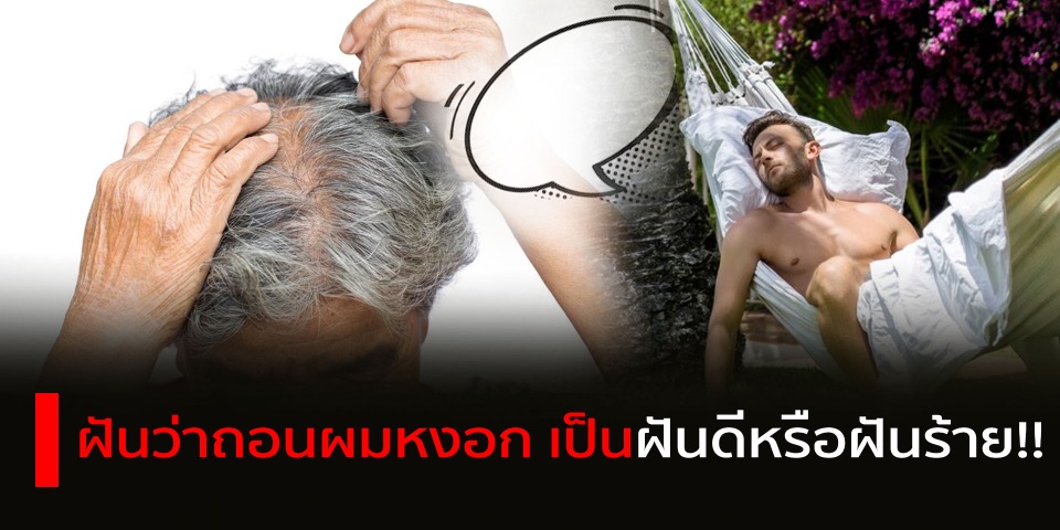 ฝันว่าถอนผมหงอก ทำนายฝัน ได้อย่างไรบ้าง เป็นฝันดีหรือฝันร้าย!!   